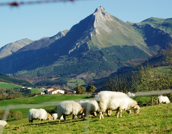 Basque Highlands